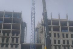 IMAG2934